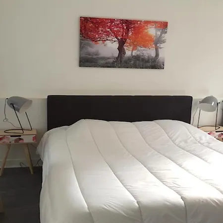 Holiday home Des Glycines Arcachon
